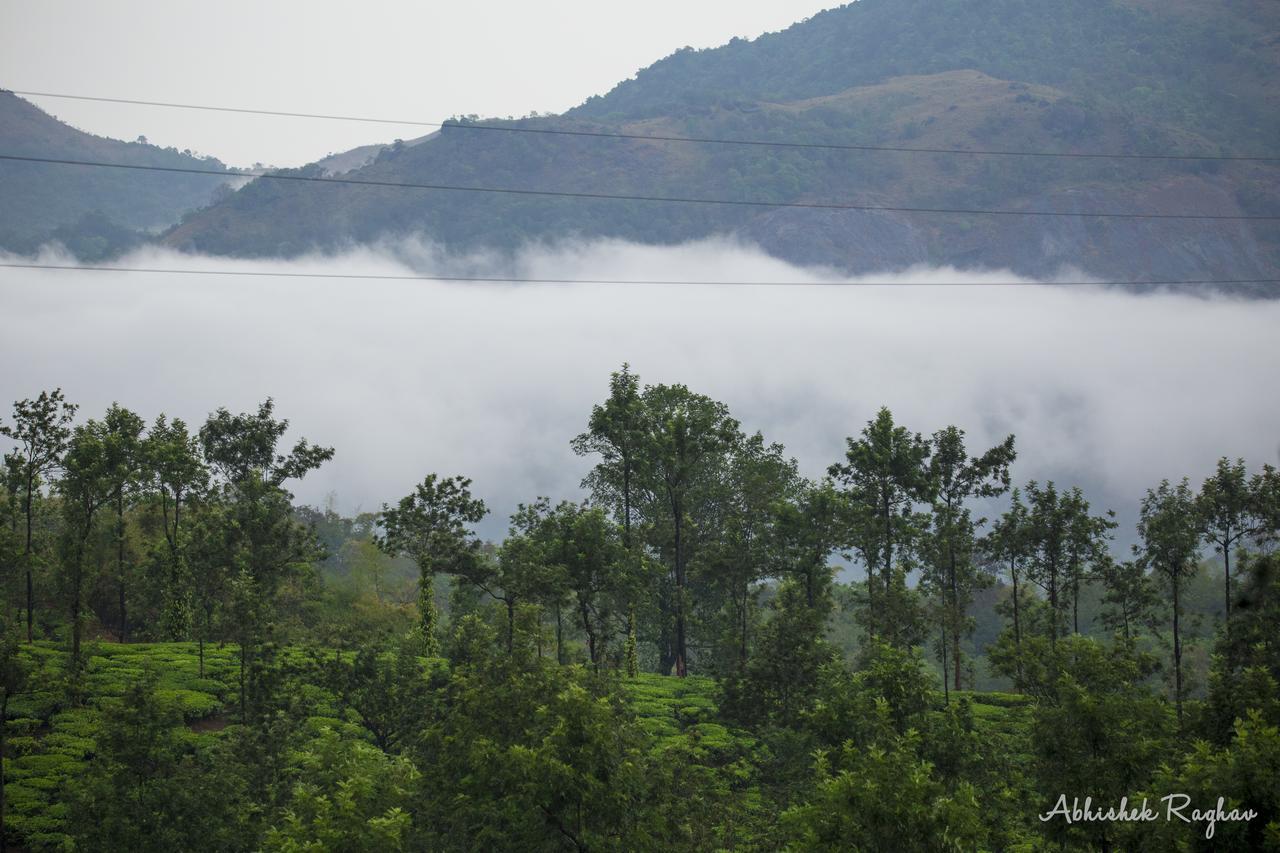 Garden Wayanad